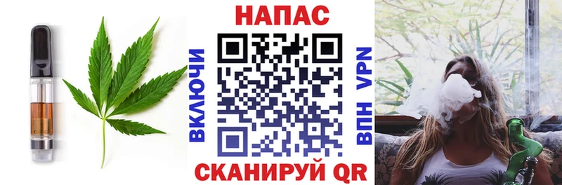 Купить где  Циолковский  Еда ТГК конопля 