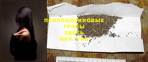 первитин Вяземский