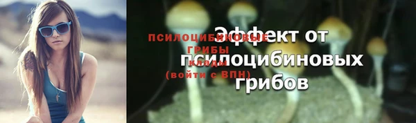 первитин Вяземский