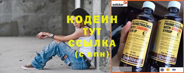 первитин Вяземский