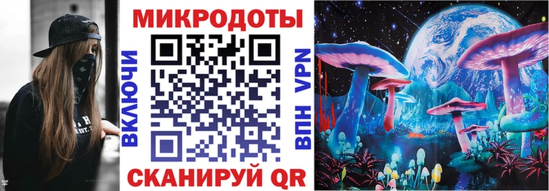 Псилоцибиновые грибы GOLDEN TEACHER  Купить где  Циолковский 